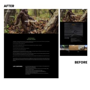 Example Project Lynchburg Web Design Agency Before and After